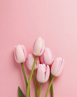 Engagement Garland Set